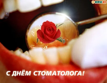 Открытка День стоматолога  - Зубы и роза: С Днём стоматолога!  Открытка | Красивая открытка #8