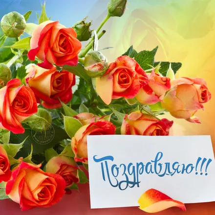 Открытка Поздравляю! - Открытка с розами: Поздравления с праздником | Красивая открытка #29