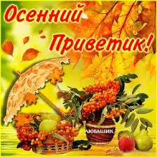 Открытка Осенний приветик - Осенняя открытка: рябина, яблоки, груши, плед | Красивая открытка #57