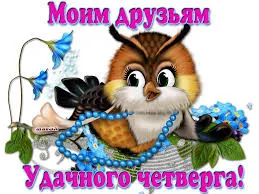 Открытка Открытки на четверг - Открытка с совой: поздравления и пожелания | Красивая открытка #87