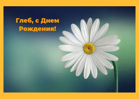 Открытка открытки с именем Глеб - Открытка с цветком: нежная ромашка на фоне неба | Красивая открытка #267