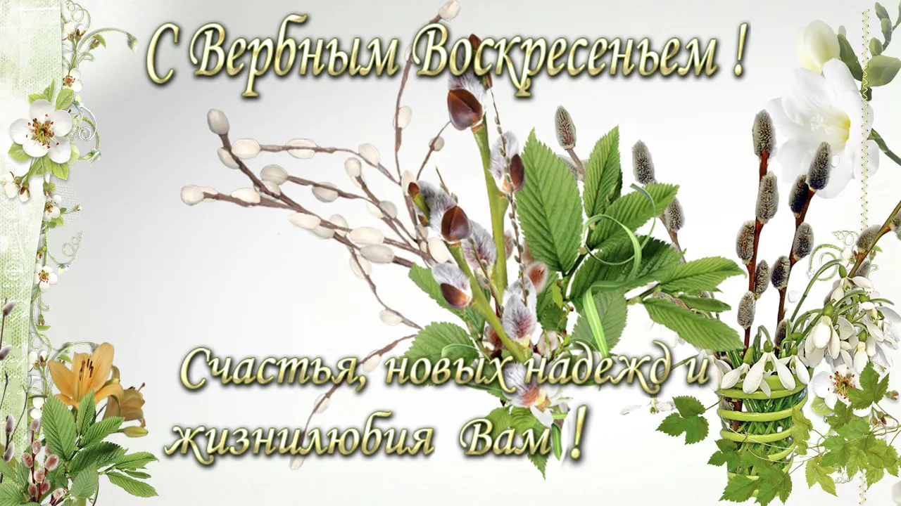 Открытка Вербное Воскресенье - Весенняя открытка: верба, цветы, зелень | Красивая открытка #228