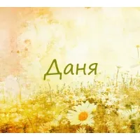 Открытка Открытки с именем Даниил/Данил - Полевые цветы, ромашки, открытка с цветами | Красивая открытка #212