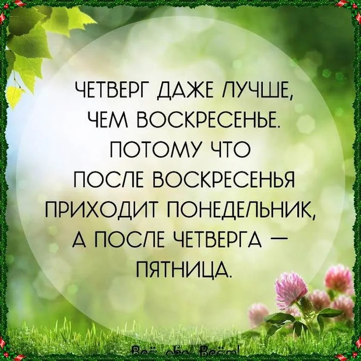 Открытка Открытки на четверг - Открытка с цветами на фоне зелени | Красивая открытка #106