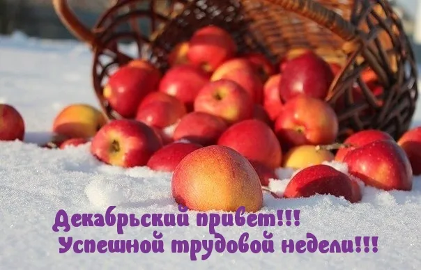 Открытка Декабрьский  - Яблоки в снегу: зимняя открытка с плодами | Красивая открытка #7