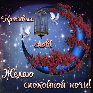 Открытка Спокойной ночи - Открытка: Ночь, луна, цветы, птицы. | Красивая открытка #9