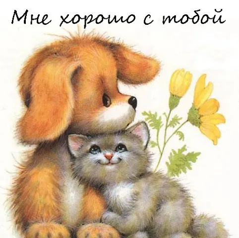 Открытка Я рядом - Милая открытка: котенок и щенок под цветами | Красивая открытка #58
