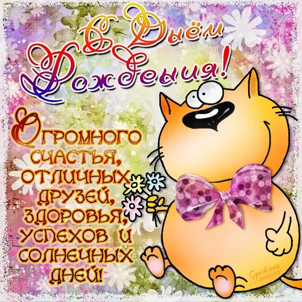 Открытка С днем рождения для коллеги - Открытка с котиком: поздравления, стихи | Красивая открытка #31
