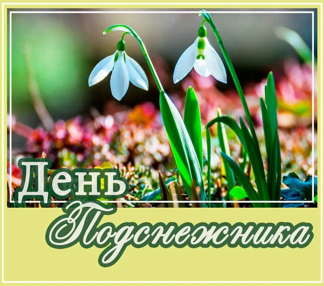 Открытка С днём подснежника - День Подснежника | Красивая открытка #81