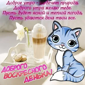 Открытка Открытки на воскресенье - Открытка с котенком и завтраком: поздравления с добрым утром | Красивая открытка #111
