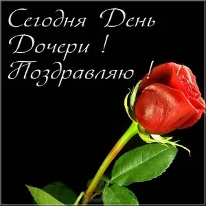Открытка Открытки на день дочери - Красная роза: открытка с цветами | Красивая открытка #11