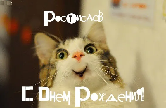 Открытка Открытки с именем Ростислав  - С Днем рождения! Открытка с котиком - смешное поздравление | Красивая открытка #187