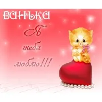 Открытка открытки с именем Иван - Открытка с котенком и сердцем | Красивая открытка #92
