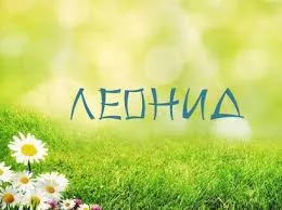 Открытка Открытки с именем Леонид  - Открытка с ромашками на лугу | Красивая открытка #126
