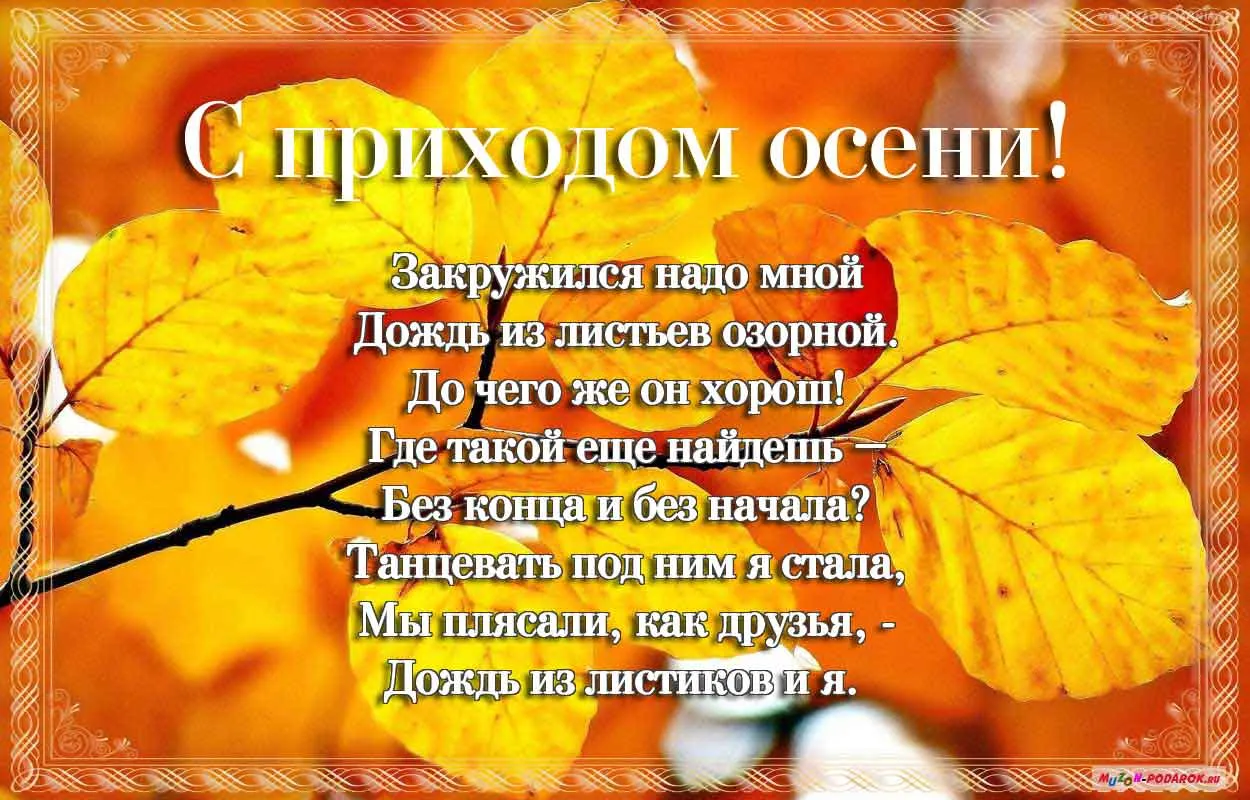 Открытка Первый день осени - Осенние листья: яркая открытка с желтыми листьями | Красивая открытка #24