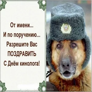 Открытка Открытки с днем кинолога - Собака в ушанке: смешная открытка с поздравлениями | Красивая открытка #28
