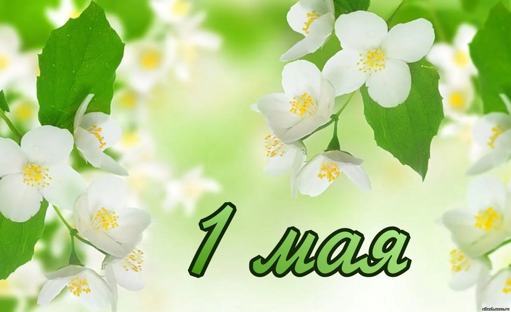 Открытка 1 мая - Открытка 1 мая: Цветущая весна | Красивая открытка #66