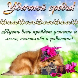 Открытка Со средой - Собака в шляпе с открыткой  Праздничная открытка | Красивая открытка #22