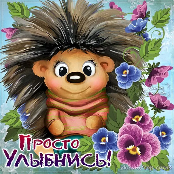 Открытка Улыбнись - Открытка с ежом: смешная поздравление с надписью | Красивая открытка #30
