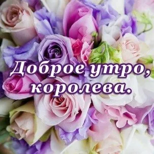 Открытка Доброе утро - Букет из фиолетовых и розовых роз | Красивая открытка #80