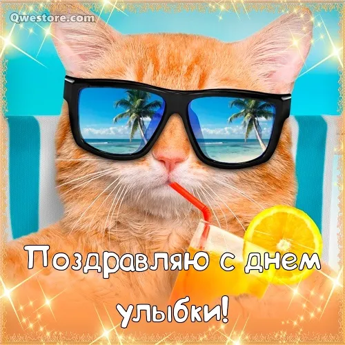 Открытка С днём улыбки - Открытка с котом на пляже: забавное поздравление | Красивая открытка #28