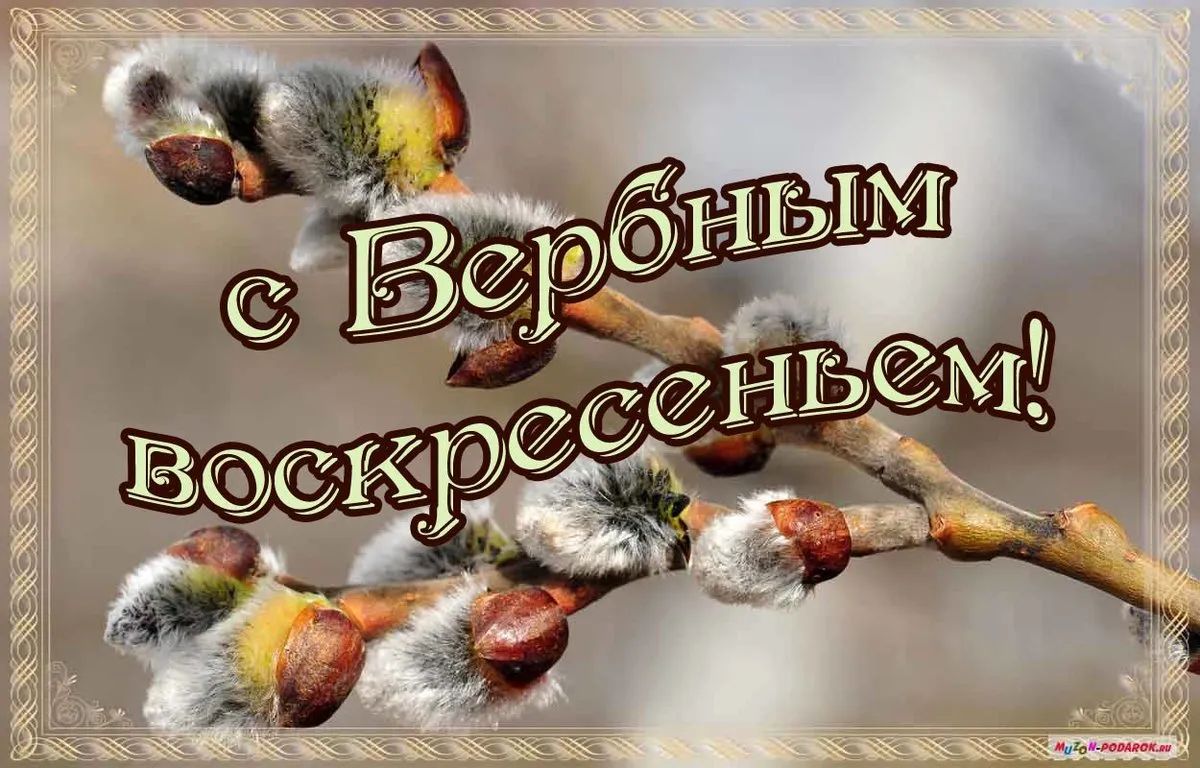 Открытка Вербное Воскресенье - Пушистые почки: открытка с весенним настроением | Красивая открытка #233