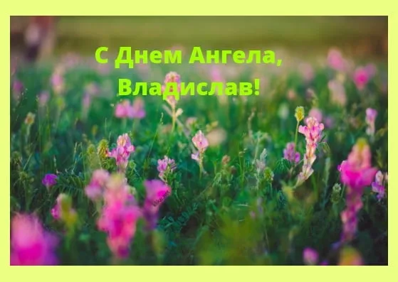 Открытка открытки с именем Владислав  - Полевые цветы: открытка с природой | Красивая открытка #236