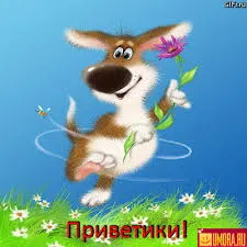 Открытка Привет - Открытка с щенком: прикольные поздравления с днем рождения | Красивая открытка #213