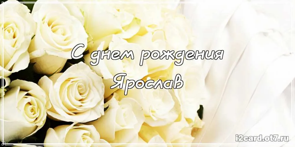 Открытка Открытки с именем Ярослав  - Открытка с белыми розами: день рождения | Красивая открытка #265