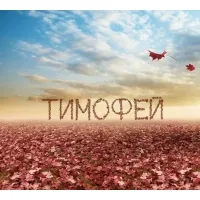 Открытка Открытки с именем Тимофей - Открытка с опавшими листьями и облаками | Красивая открытка #68
