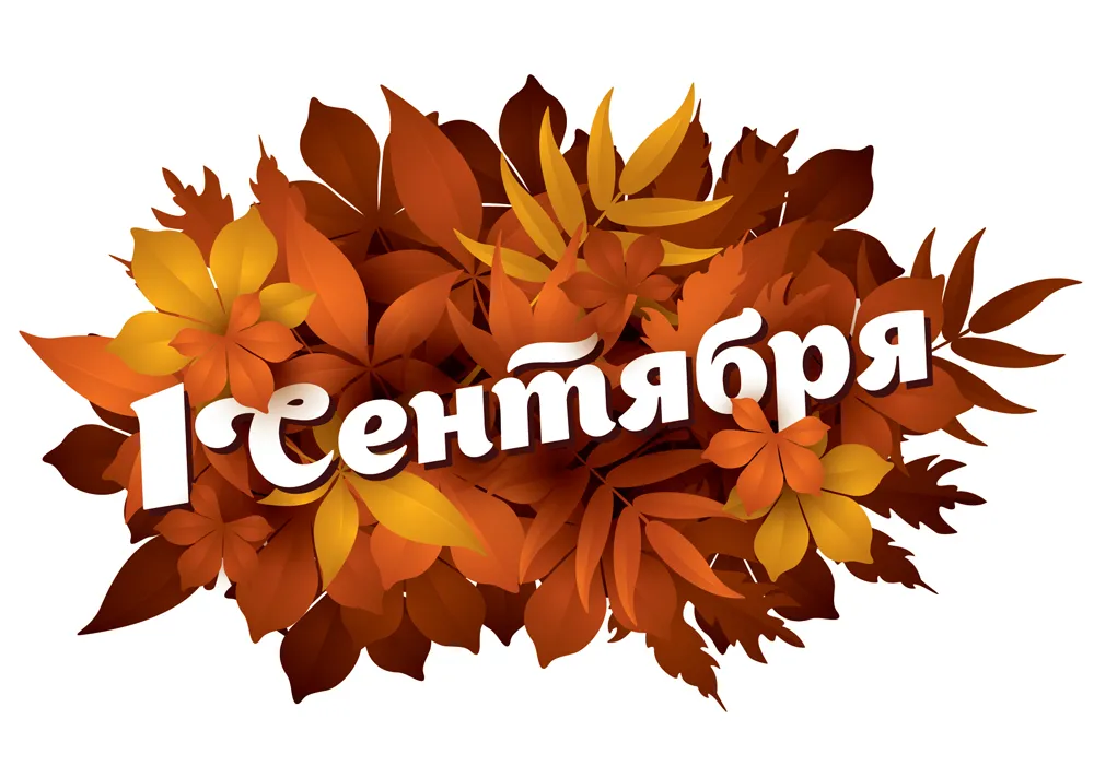 Открытка День знаний 1 сентября - Открытка с осенними листьями | Красивая открытка #33