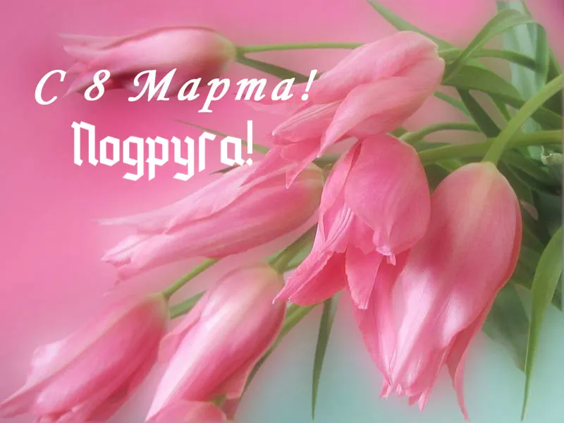 Открытка С 8 марта подруге - Розовые тюльпаны: Открытка с 8 марта | Красивая открытка #19