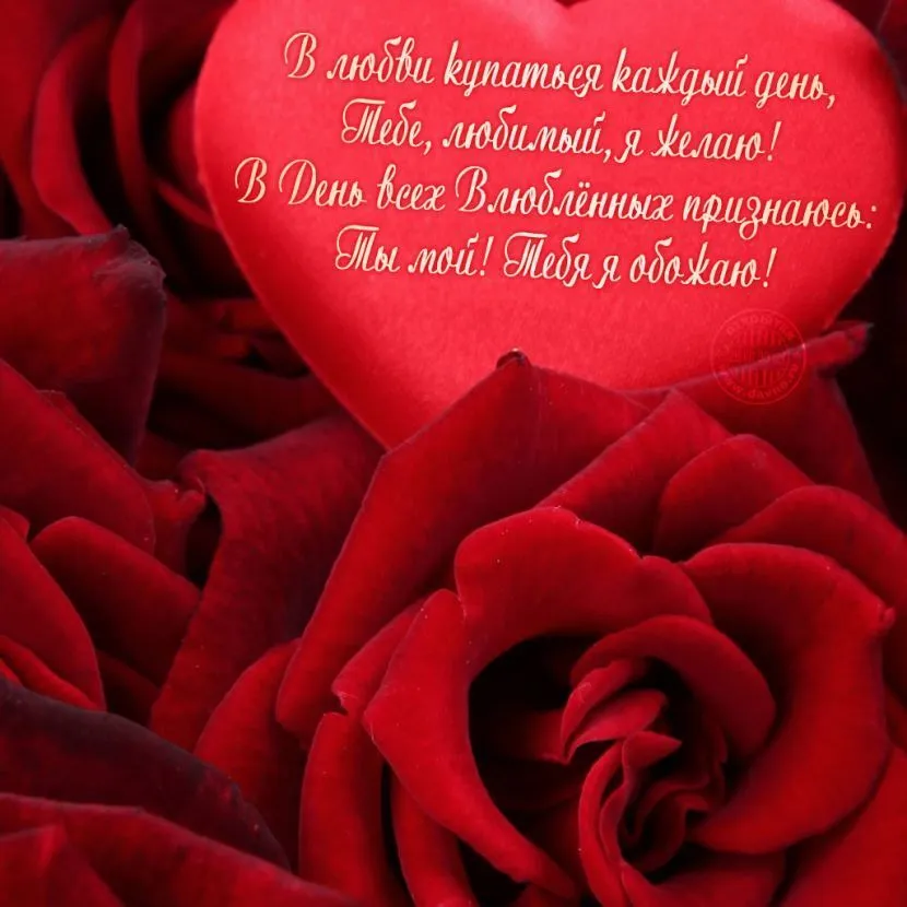 Открытка 14 февраля День влюблённых - Красные розы: Открытка с признанием в любви | Красивая открытка #56