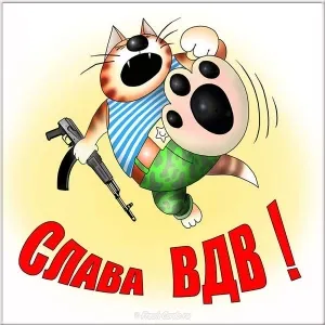 Открытка День ВДВ - Открытка с котом в военной форме и автоматом | Красивая открытка #66