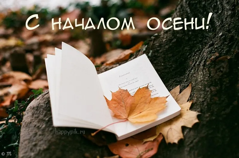 Открытка Первый день осени - Открытка с осенними листьями и книгой | Красивая открытка #155