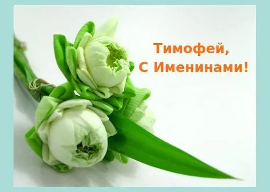 Открытка Открытки с именем Тимофей - Белые бутоны цветов на зелёном стебле | Красивая открытка #233