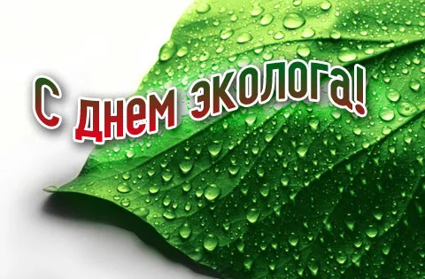 Открытка День эколога - Лист с каплями росы - открытка | Красивая открытка #29