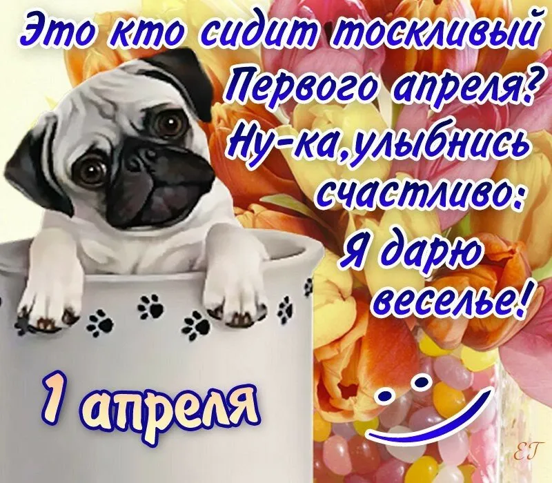 Открытка День смеха - Открытка с щенком на 1 апреля | Красивая открытка #53