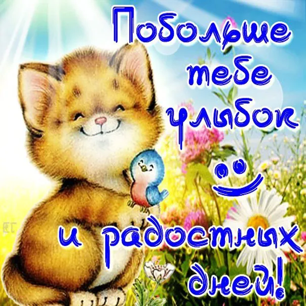Открытка Улыбнись - Открытка с котенком и птичкой: С Днём рождения! | Красивая открытка #110