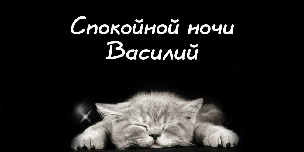 Открытка открытки с именем Василий - Спящий котенок: Открытка с милым котенком | Красивая открытка #61