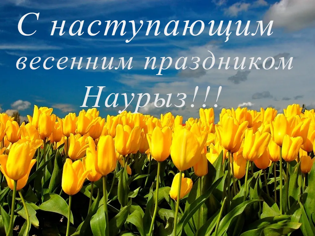 Открытка 22 марта  Наурыз - Яркие желтые тюльпаны на фоне голубого неба | Красивая открытка #54