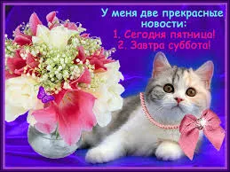 Открытка Открытки на субботу - Открытка с котенком и цветами | Красивая открытка #178