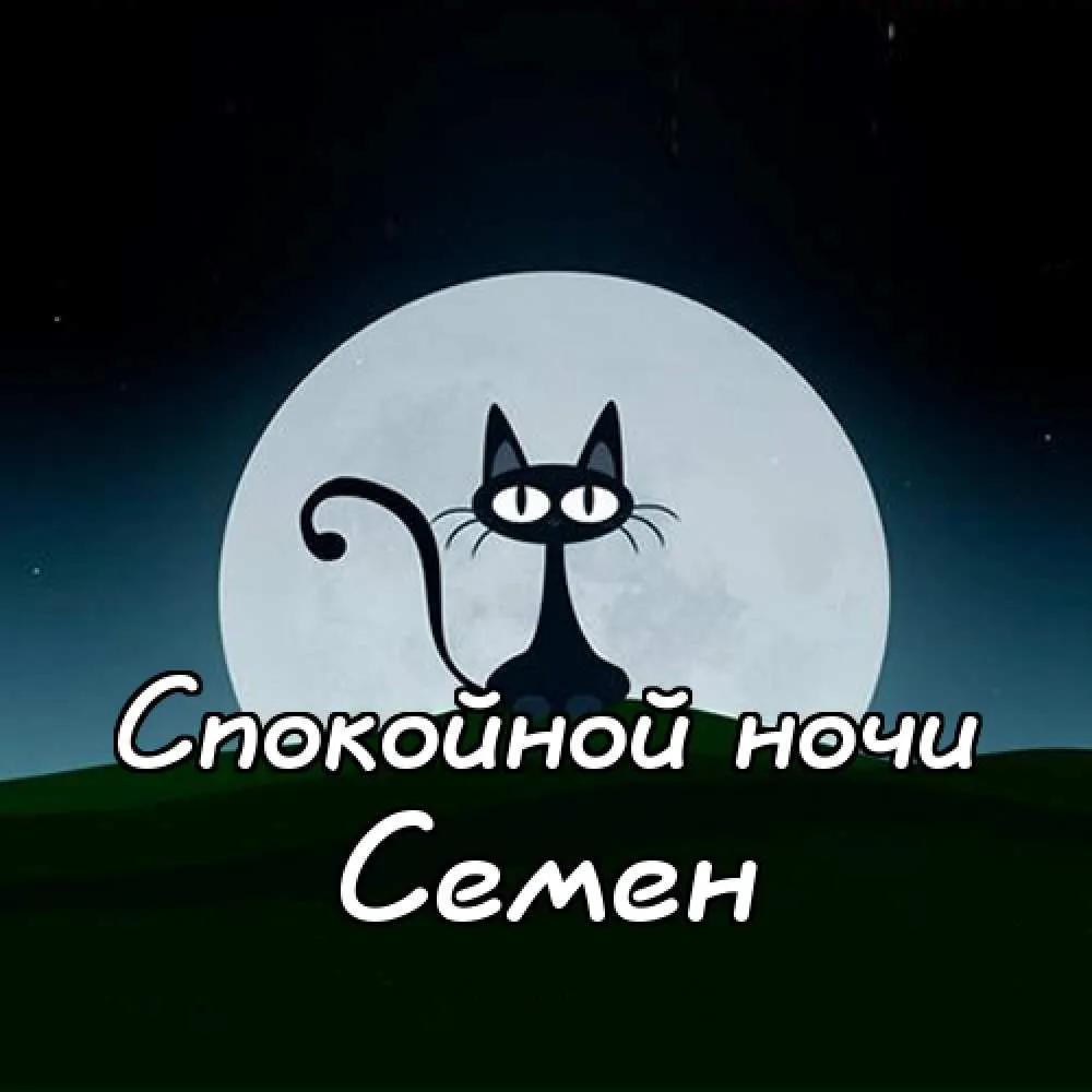 Открытка Открытки с именем Семен - Открытка с котиком на луне | Красивая открытка #62