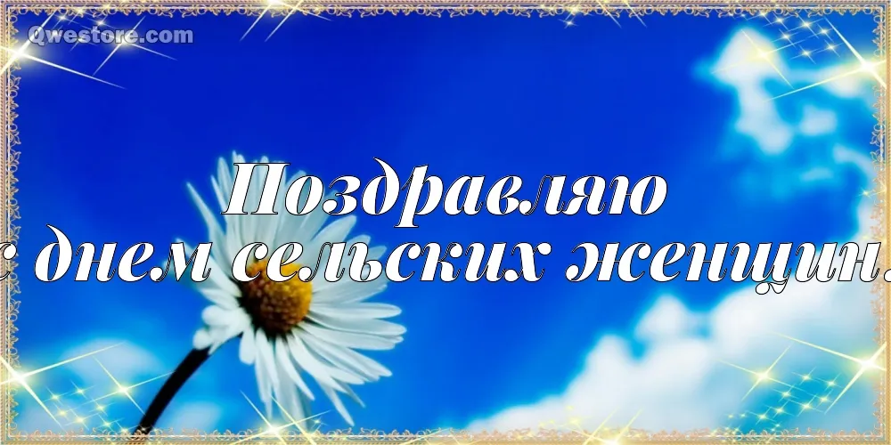 Открытка Всемирный день сельских женщин - Открытка с ромашкой на голубом фоне | Красивая открытка #4