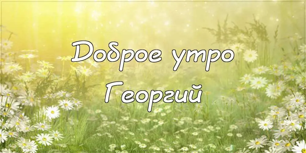 Открытка открытки с именем Георгий  - Поле с цветами: открытка с подсолнухами | Красивая открытка #230