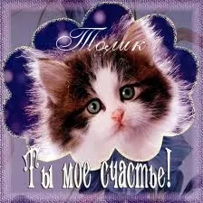 Открытка открытки с именем Анатолий - Открытка с милым котенком — С Днем Рождения! | Красивая открытка #106