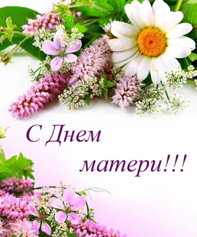 Открытка День матери - Открытка с ромашками и цветами | Красивая открытка #138