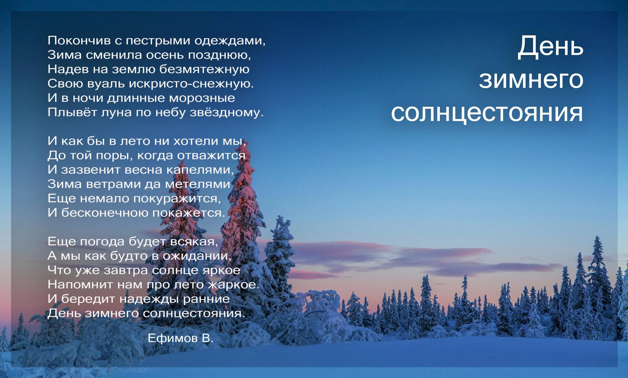Открытка День зимнего солнцестояния - Заснеженный лес: зимняя открытка с елями | Красивая открытка #2