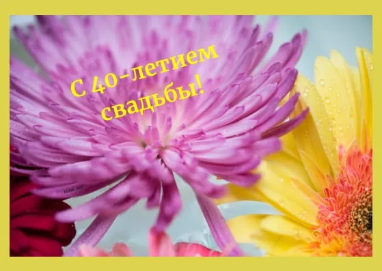 Открытка Открытки на Рубиновую свадьбу 40 лет - Фиолетовые и желтые цветы с каплями росы | Красивая открытка #91