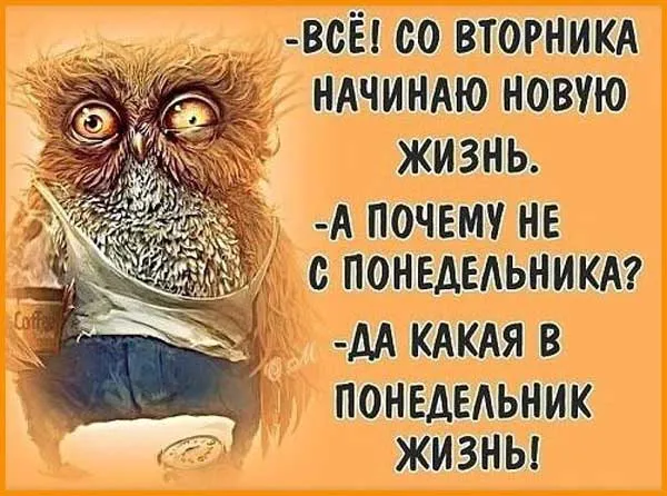 Открытка Выходные - Сова в футболке с надписью: Прикольная открытка с совой | Красивая открытка #48